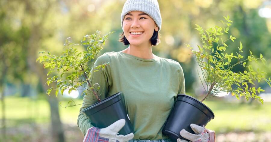 How Do Tree Services Enhance Environmental Health?